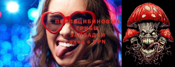 СК Абинск